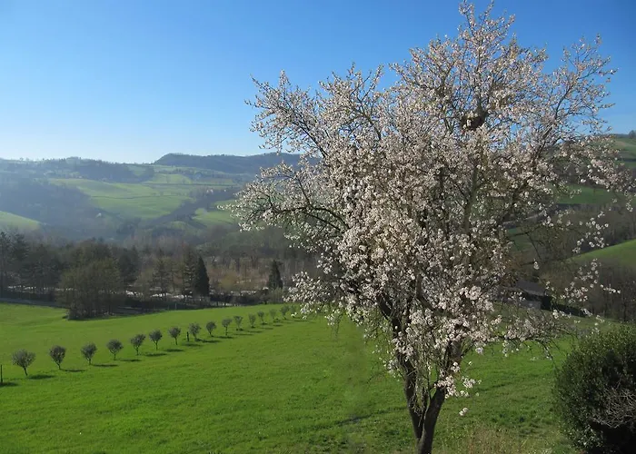 Casa Bruna アパート *