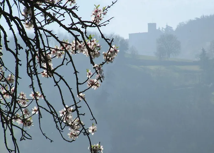 Casa Bruna アパート *