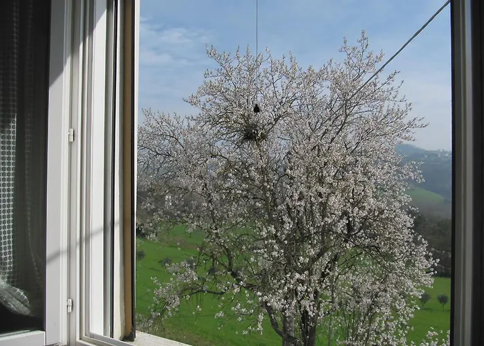 Casa Bruna Appartamenti *