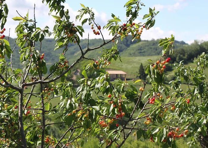 Апартаменты Casa Bruna Appartamenti *